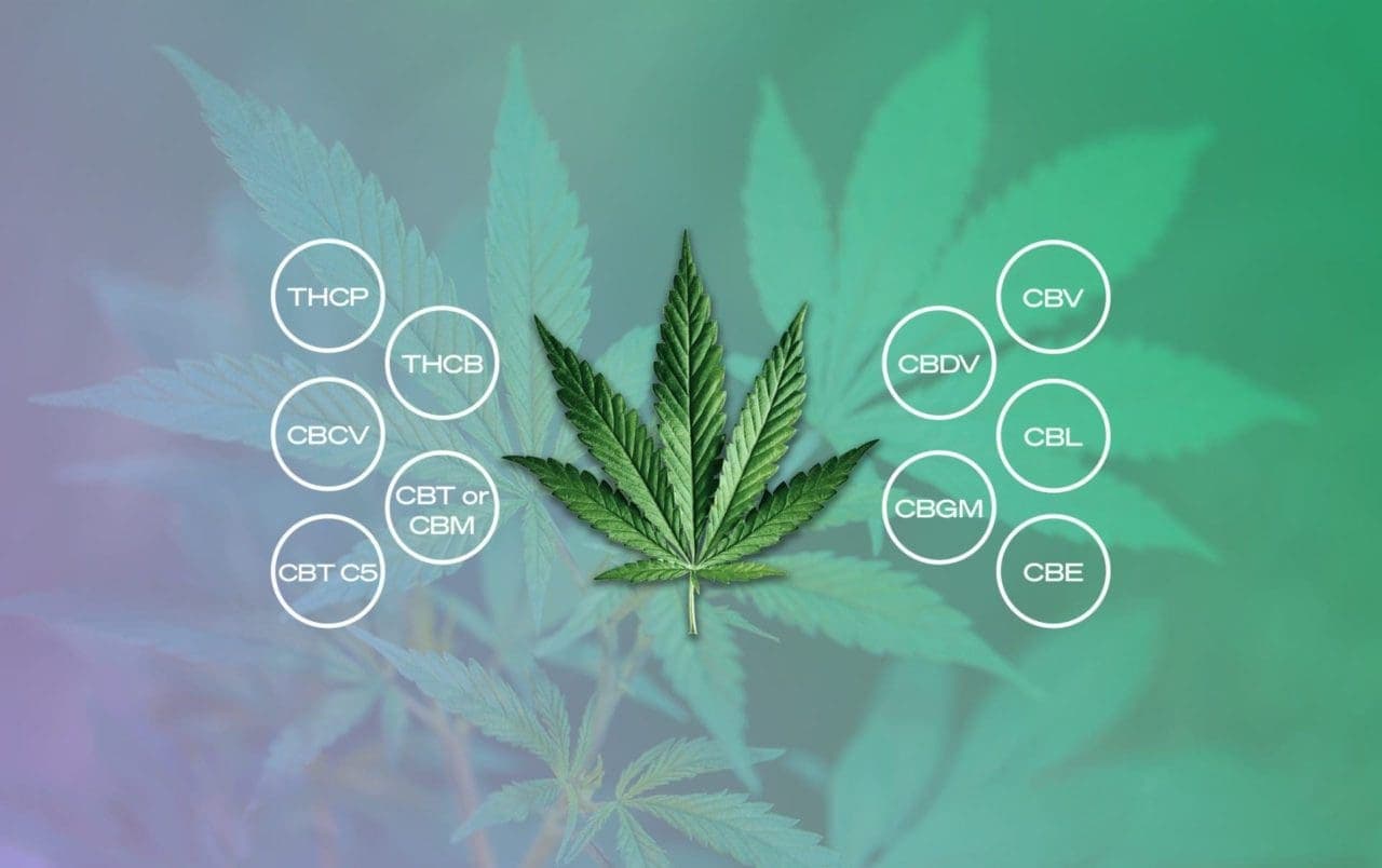 minor cannabinoids