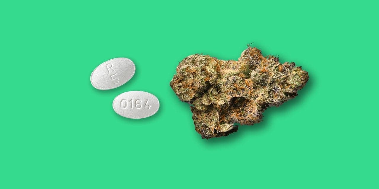 two tablets of olanzapine and a weed